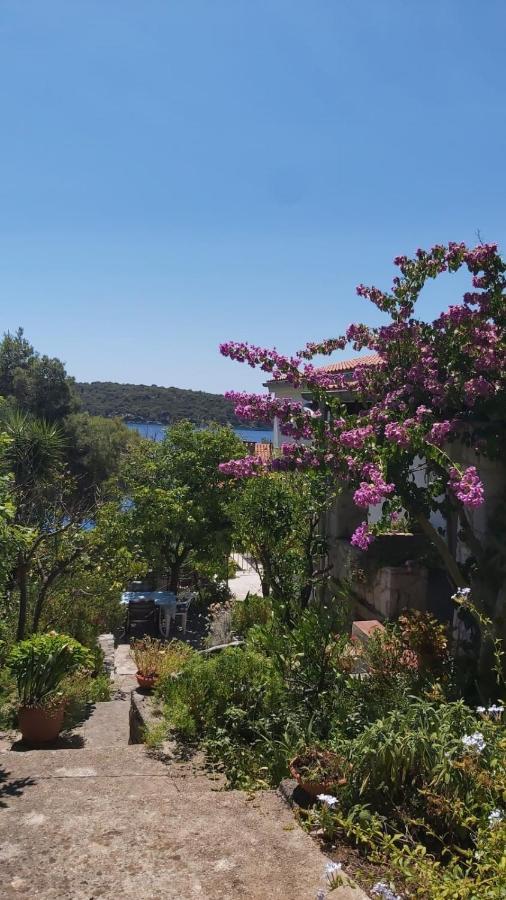 Apartment Maja Mali Lošinj Buitenkant foto